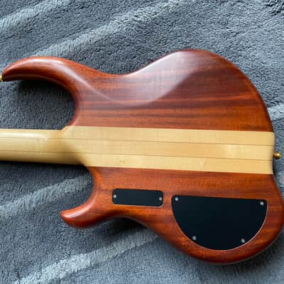 Alembic  EvH Tenor Bass image 11