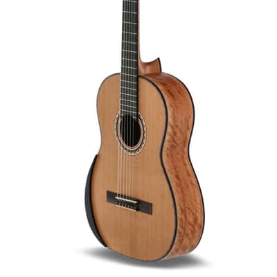 Manuel Rodriguez Tesoro de Camerún Limited Edition Solid Cedar Top & Cedar Neck 6-String Classical Acoustic Guitar w/Hard Case & Footrest image 5