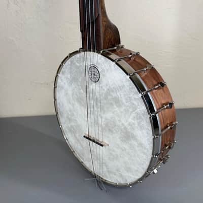 5-String Open-Back Banjo with Case in Excellent Condition, image 5