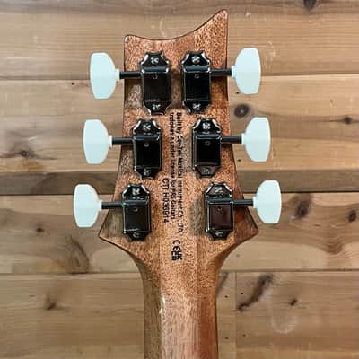 PRS SE Paul's Guitar Electric Guitar - Slate Blue image 6