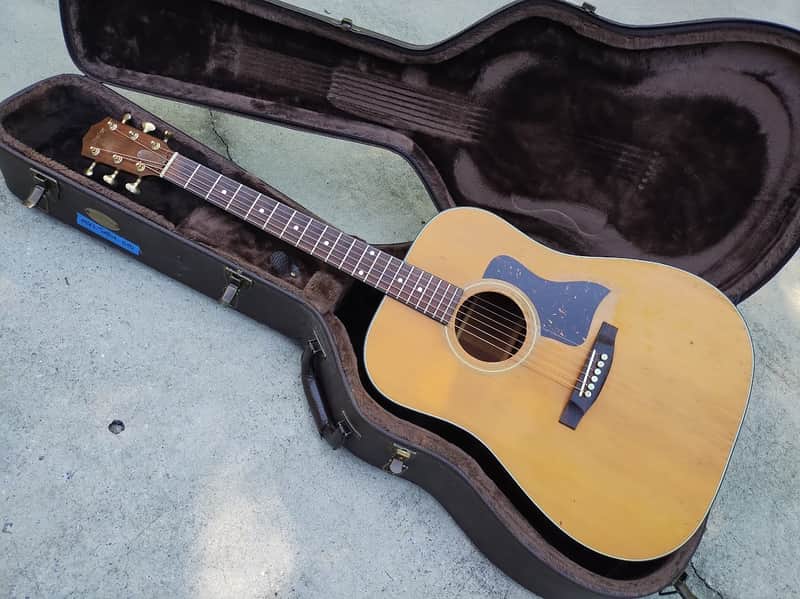 Taylor 510