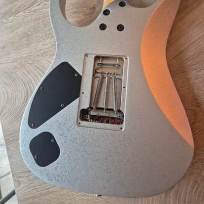 Ibanez RG2570EX Vital Silver Prestige 2004 - Vital Silver Bild 7
