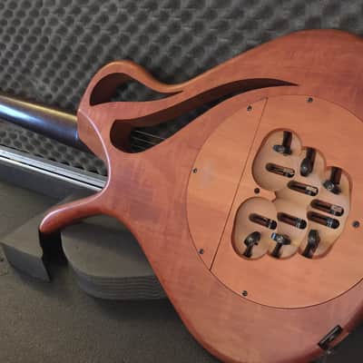 Paradis Avalon Nylon String Electric Polyphonic Guitar image 6
