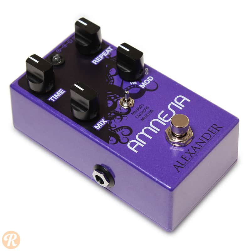 Alexander Pedals Amnesia Vintage Delay image 2