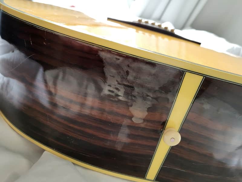 Aria FE60 Elecord 1980s Natural MIJ | Reverb