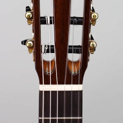 Cordoba C9 Cedar Top Nylon String image 4