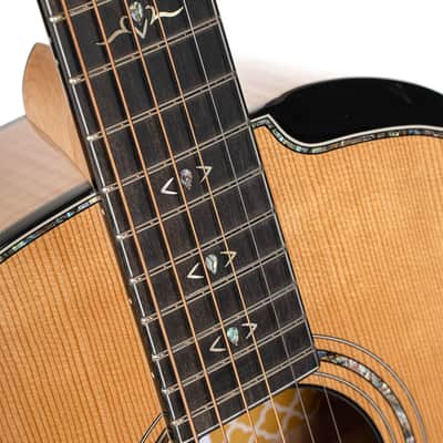 Cort GOLDPASSION Modern Concert Body Torrefied Solid Engelmann Spruce Top Hard Maple Neck 6-String Acoustic-Electric Guitar w/Hard Case image 7