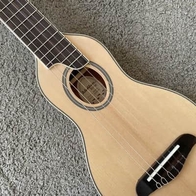 Washburn Rover 34 Inch Travel Guitar, Spruce Top, Rosewood Fingerboard image 2