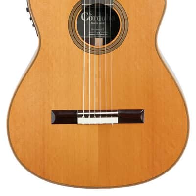 Cordoba Fusion Orchestra CE Nylon Acoustic Electric Guitar image 3