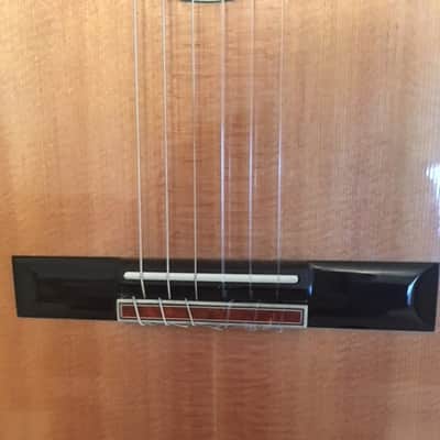 Ison El Morocco Nylon String  Guitar 2012 image 7