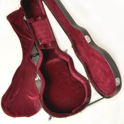 Douglas EGC-400 LP BK/Burgandy Case for Gibson & Epiphone Les Paul image 1