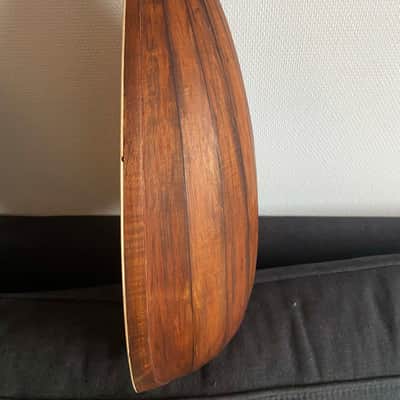Schonbach Guitar-lute ./ Luth from 1900s image 16
