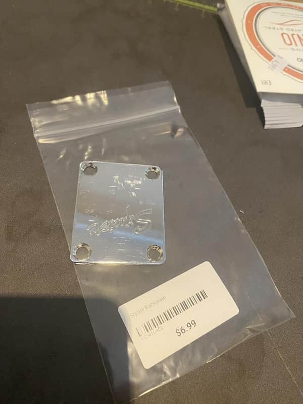 Fender Squier Rusty Backplate image 1