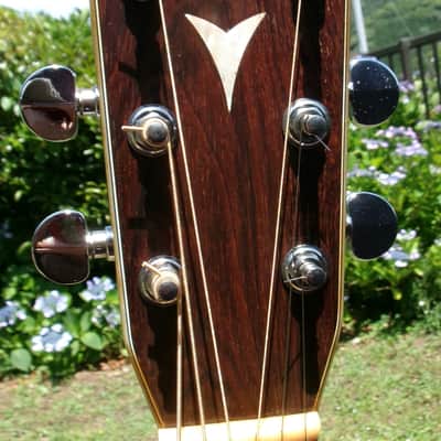 1979 Yairi YW-500P D-35 style + New Gig Bag plus more image 6