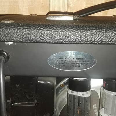 Garnet Gnome  G15-T  Black Tolex image 8