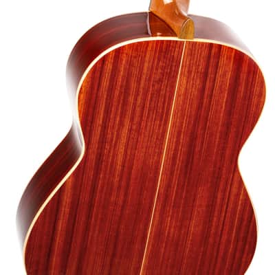 Ortega R200SN Traditional Series Cedar Top Mahogany Neck Nylon 6-String Classical Acoustic Guitar w/Gig Bag image 8