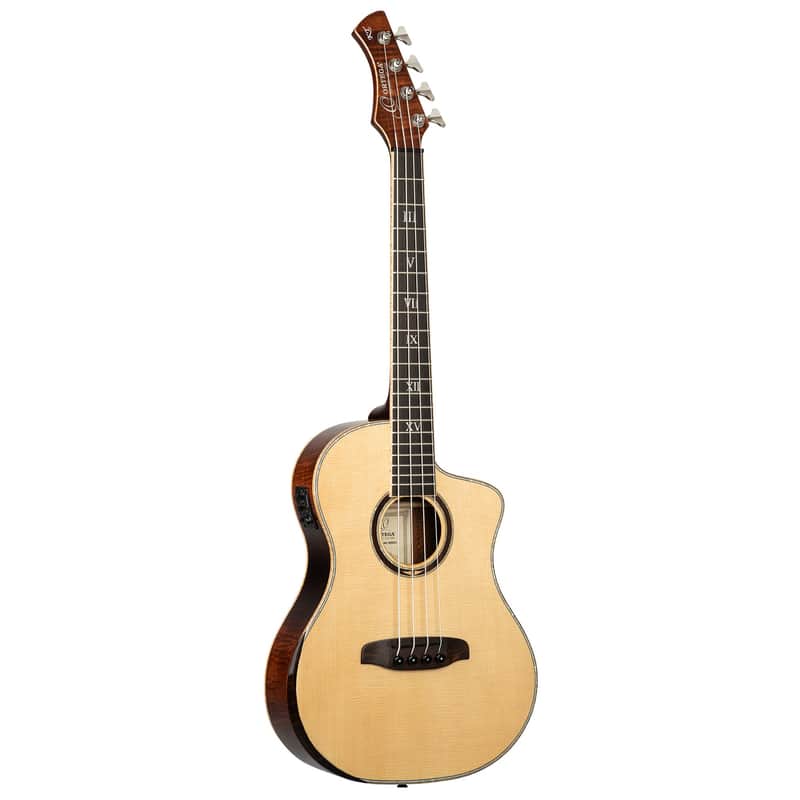 ORTEGA KT-WALKER-V3 Ken Taylor Signature Series Acoustic Bass 4-String - Natural + Gig Bag image 1