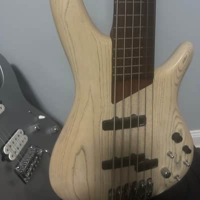 Ibanez SR2010ASC-TWF "Ashula" Bass Workshop Hybrid Fretless Soundgear 2010 - Transparent White Flat imagen 3