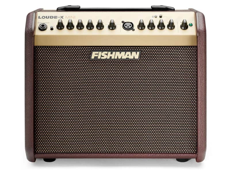 Loudbox Mini Bluetooth 60-Watt Acoustic Guitar Amplifier image 1