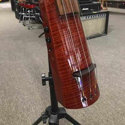 NS Design Wav 4 Electric Upright Bass w/ Stand and Gigbag image 1