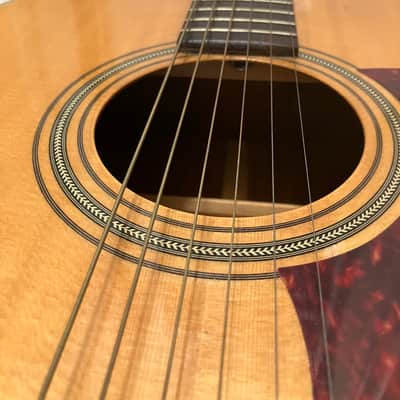 Alvarez Regent 5225 image 5