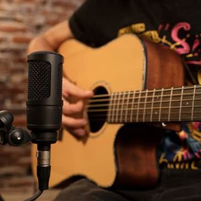 Antelope Audio Edge Solo Modeling Microphone image 10