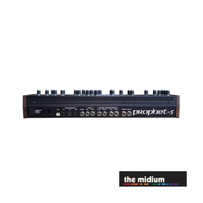 Sequential Prophet-5 polyphonic analog desktop module image 5