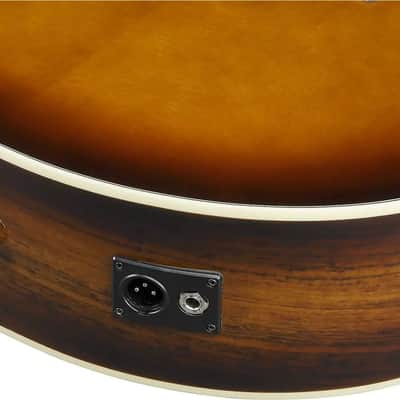 Ibanez AE160 Grand Auditorium Thinline Acoustic-Electric Guitar, Solid Spruce Top, Vintage Mahogany Sunburst image 4