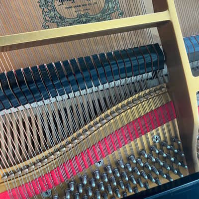 Young Chang G-150 Baby Grand Piano image 2
