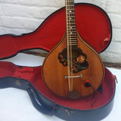 GOLDKLANG (Ger) 12 string electric concert mandolin - 30s / 50s + Hardcase image 1