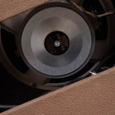 Fender Princeton 1962 image 10
