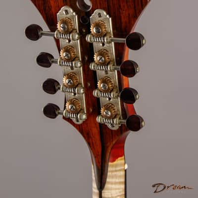 2014 Condino A style Mandolin, Brazilian Rosewood/Adirondack Spruce image 16
