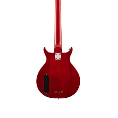 Washburn SB4 Wing Series Scavenger Bass w/Gigbag image 2