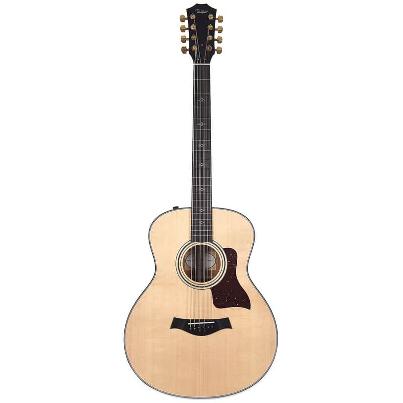 Taylor 316e Baritone-8 LTD image 1