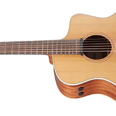 Ibanez PA230E Acoustic/Electric Guitar- w/free restriring and pro setup image 3