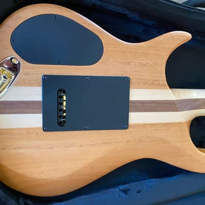 KIESEL A2 (Neck-Through) 2024 - Trans Autumn Burst image 4