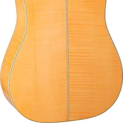 Takamine GD74CE 12-String Dreadnought Acoustic-Electric Guitar, Spruce Top image 3