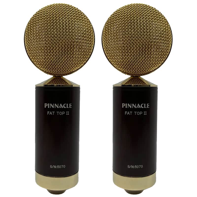 Pinnacle Microphones D-FTII-ST-G Fat Top II Ribbon Microphone Stereo Pair image 1