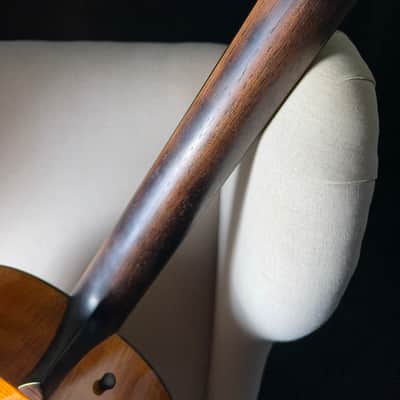 Burton Legeyt CLM Visesnut Case image 16