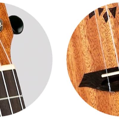 Flight Elise Ecklund Artist/Designer Signature Series Laminate Mahogany Top Okoume Neck 4-String Concert Ukulele w/Padded Gig Bag image 5