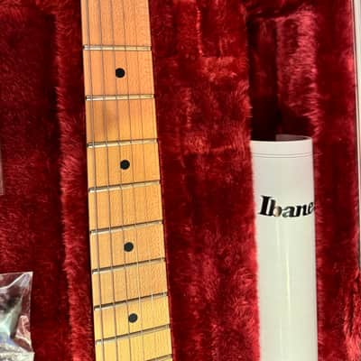 Ibanez PGM301-WH 2008 Paul Gilbert Signature with Maple / Walnut Neck 2005 - 2008 - White image 4