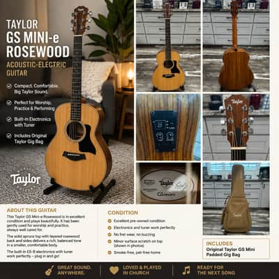 Taylor GS Mini-e 2020 - Natural Matte image 3