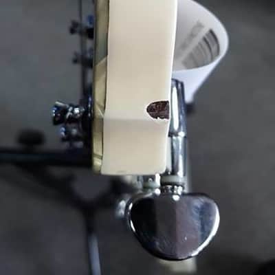 Ibanez Darkstone DN500 image 7
