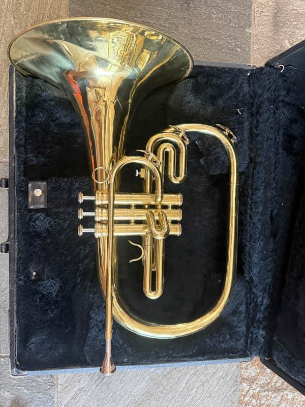 Marching French horn, Dynasty brand image 1