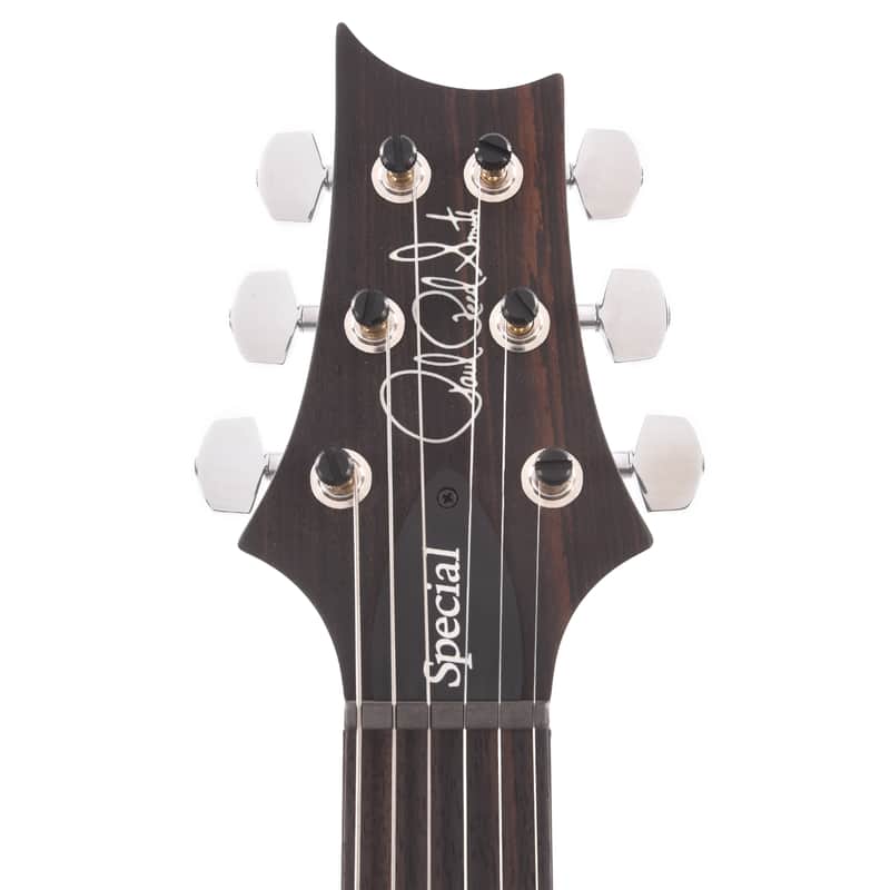 PRS Special 22 Semi-Hollow Limited Edition 2018 - 2019 image 3
