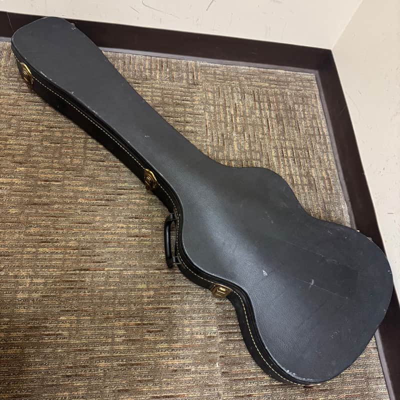 Skinny Bass Hardshell Case image 1