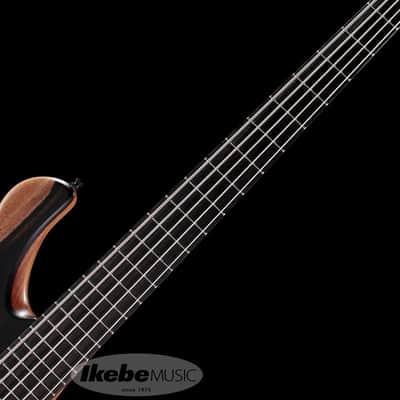 Mayones BE Elite 5 -Macassar Ebony Top/Ebony Fingerboard- with Aguilar DCB Soapbar image 5
