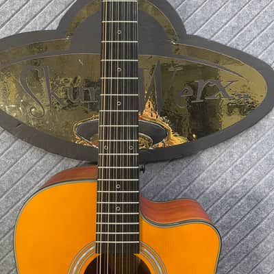 Fesley FDET280C 12 String SkunkWerx Stage Ready IN USA SETUP String Joy 2025 - Natural image 6