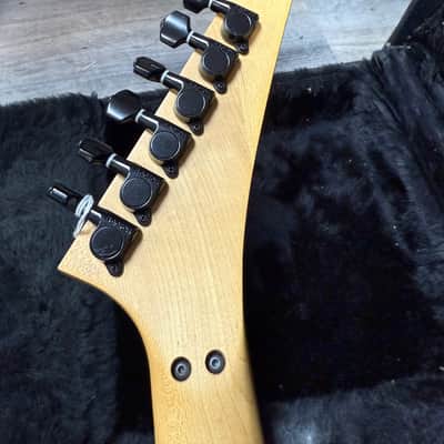 Zion Radicaster Left-Handed with Case image 7