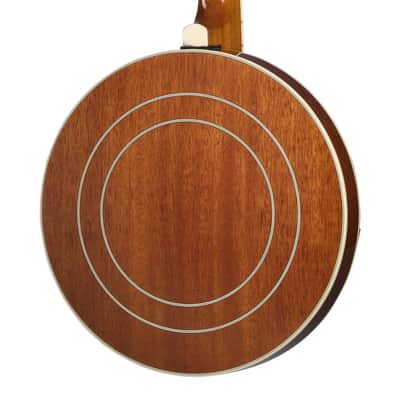 Epiphone Mastertone Classic Banjo With Hardshell Case image 5